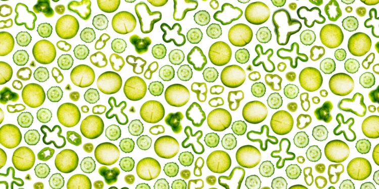 This Green Smoothie Changed My Gut