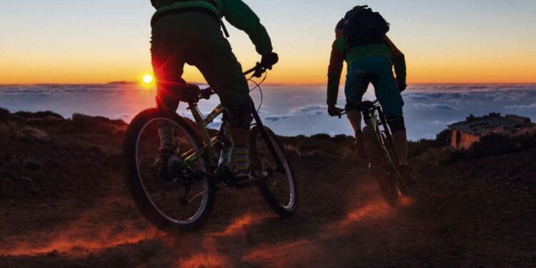 El insólito motivo detrás del Día de la Bicicleta: drogas, viajes y un descubrimiento histórico