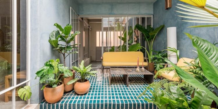 The Best Airbnbs in Mexico City to Book for Your Next Getaway