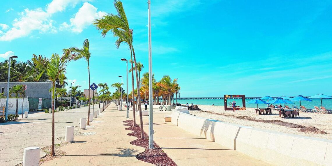 Yucatán plantea estrategias para incrementar los arribos de cruceros a Puerto Progreso