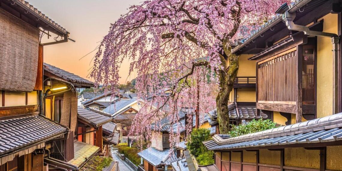 Vamos de una punta a otro del mundo para presenciar la primavera más pura