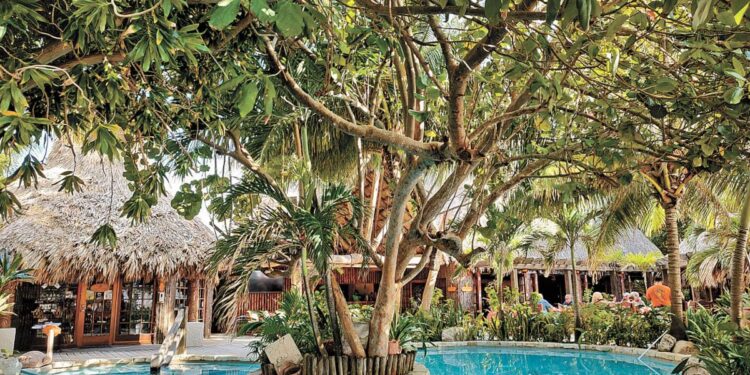 ¿Cómo fomentar experiencias de viaje más sostenibles? Conoce 4 recomendaciones