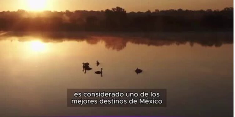 ¿Cuál es el mejor lugar de México para verlo en este 2025?