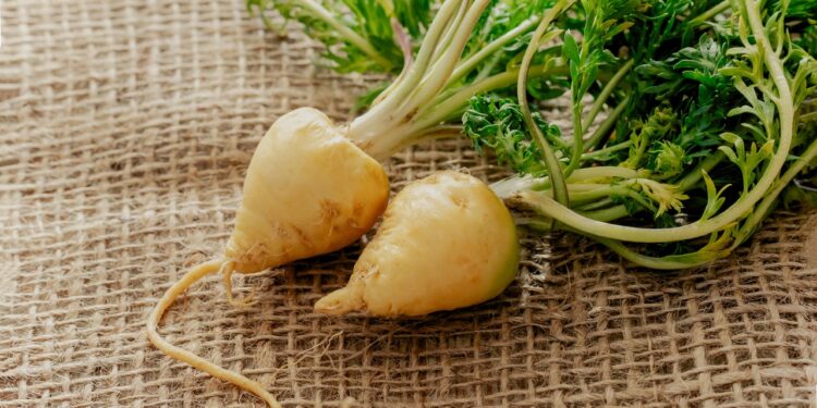 Is Maca Root A Healthy Superfood? The Experts Weigh In