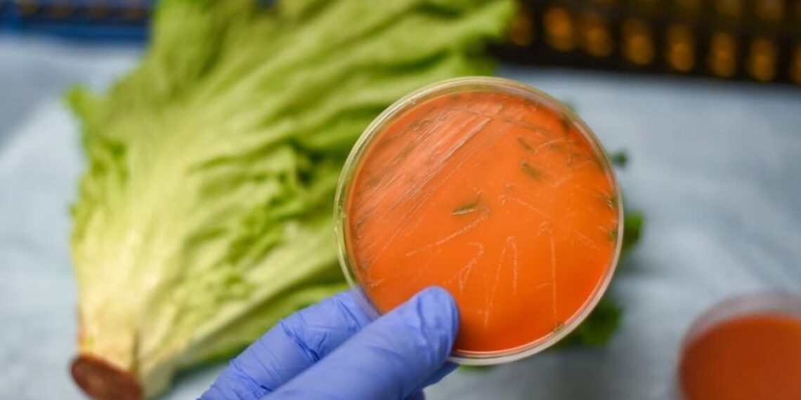 Reportan brote de listeria en California y Nevada: van 10 personas hospitalizadasReportan brote de listeria en California y Nevada: van 10 personas hospitalizadas