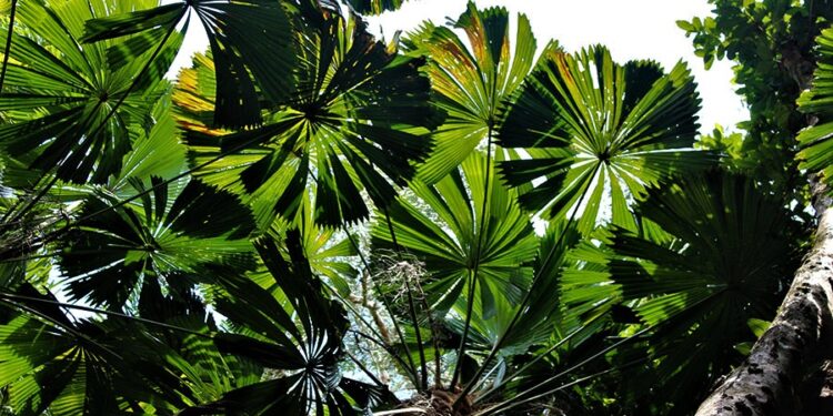 Como hacer que el turismo y los viajes recuperen la biodiversidad. Por Arturo Crosby