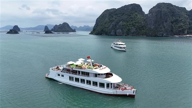 Cruceros de lujo inician operaciones en la bahía de Bai Tu Long
