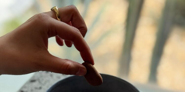 RGMX productos gourmet: nueces, compotas y ates