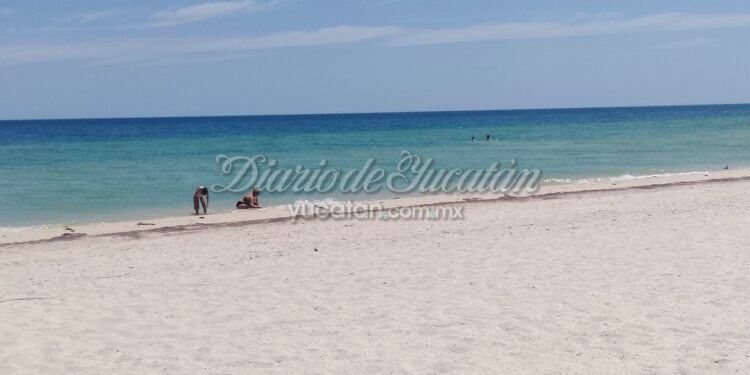 Baja afluencia de turistas de crucero afecta a comerciantes de Progreso