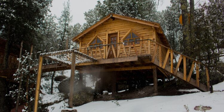vacaciones de invierno
