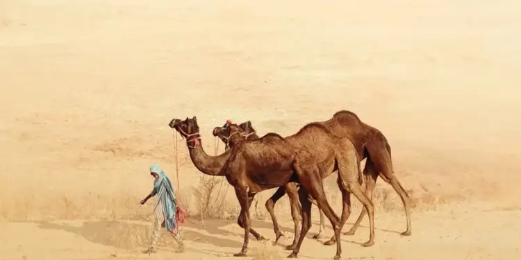 Estas son las mejores fotografías de viajes del año según National Geographic