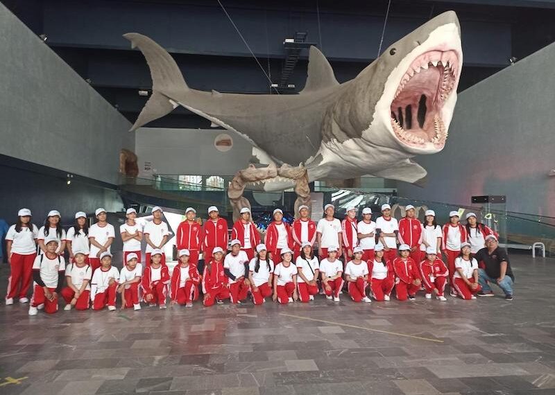 “Viajes Inolvidables” permite a escolares conocer atractivos de Puebla – Diario sin Secretos