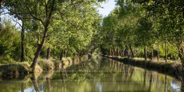El disparatado canal de Castilla y León para que Madrid tenga salida al mar