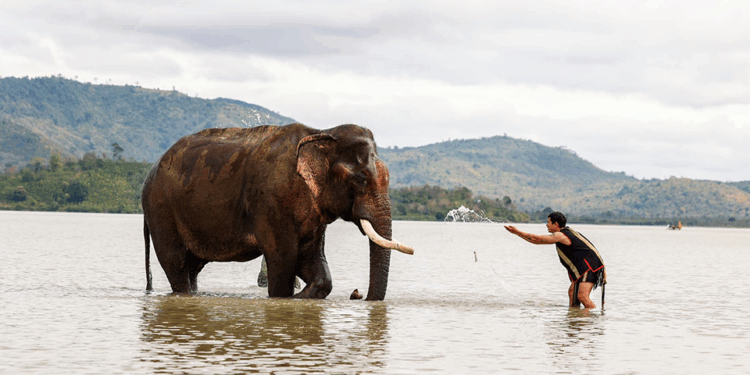 Vietnam.vn - Nền tảng quảng bá Việt Nam