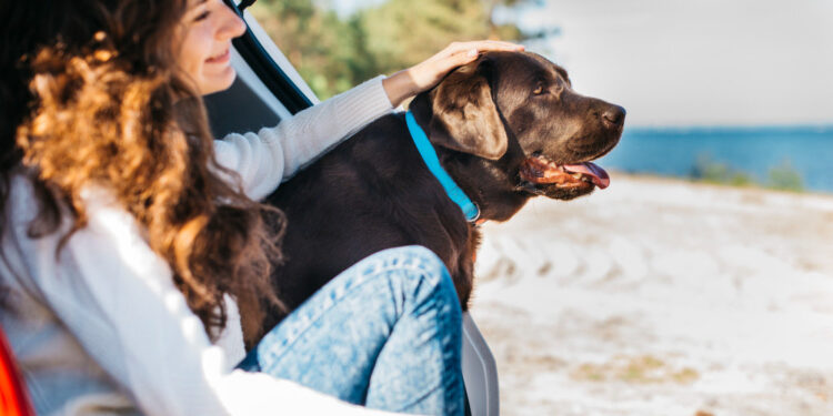 Nueva guía de la ESCCAP sobre el control de parásitos en mascotas viajeras e importadas