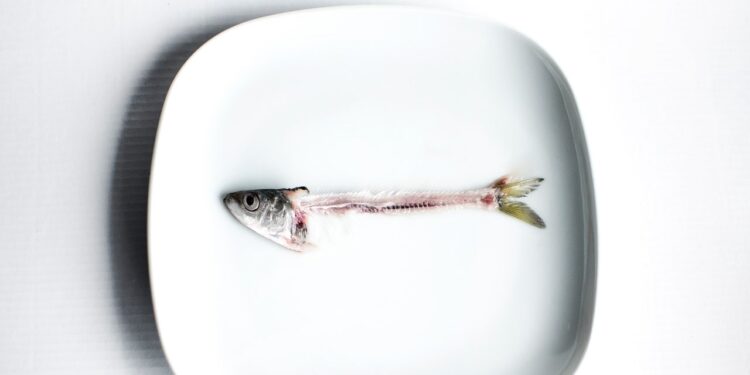 Why Marine Collagen Wins When It Comes to Better Skin