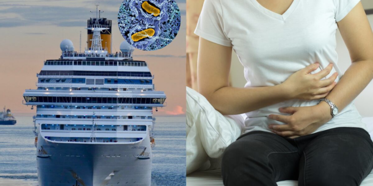 Alerta por salmonela: retiran pepinos del mercado tras brote en crucero Foto: NIH / Canva