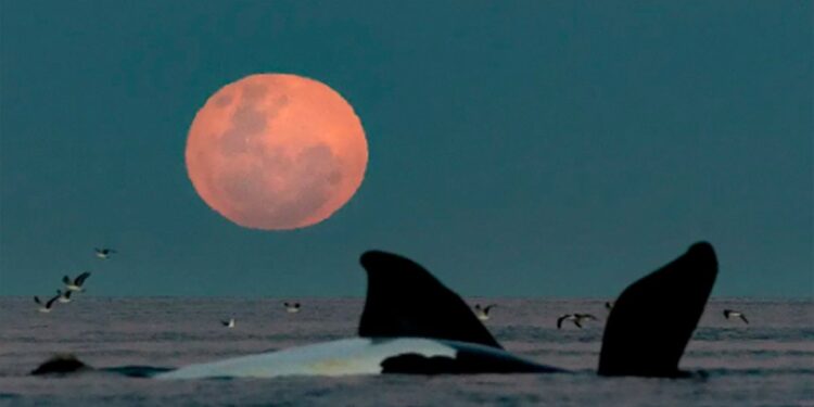 Las vacaciones de invierno se acercan: los mejores destinos para viajar en familia