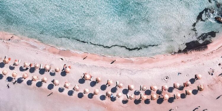 está en Europa y se ha teñido de un precioso color rosa