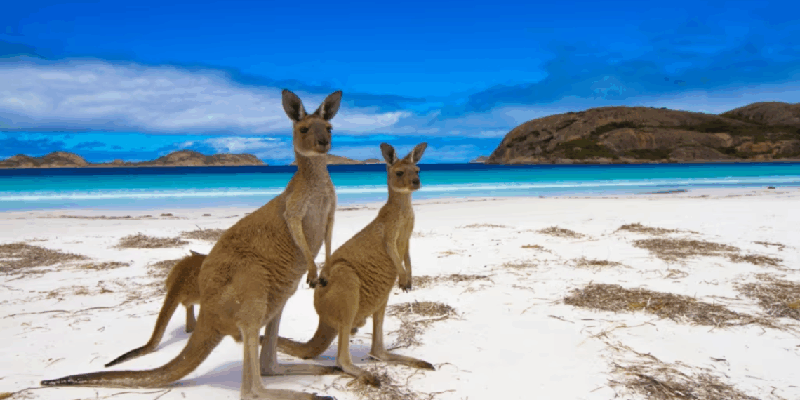 Vietnam.vn - Nền tảng quảng bá Việt Nam