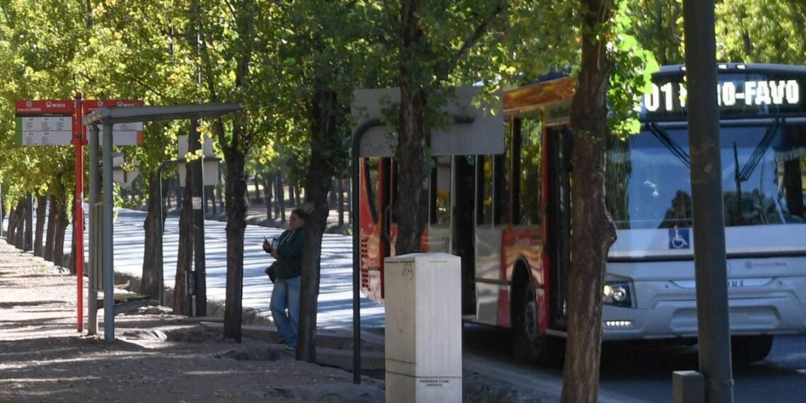 Pasajeros aseguran que los viajes gratis con la app de BNA+ no funcionan