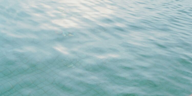 Could Your High-Protein Diet Ruin Your Gut?