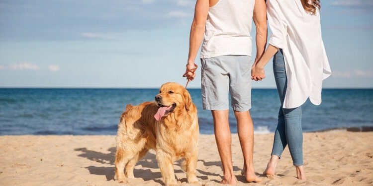 El presupuesto y el reparto de gastos son el principal motivo de conflicto durante los viajes, según eDreams