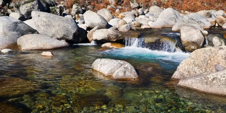"es fundamentalmente conocido por su microclima"