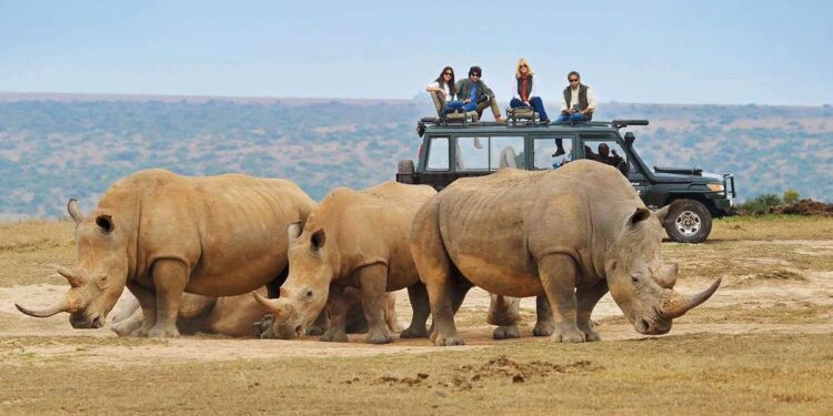 aventura, naturaleza y vida salvaje