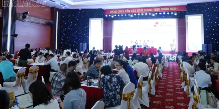 Una mañana tranquila en el infinito Océano Pacífico.