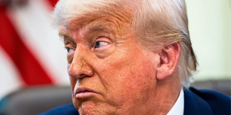 A side-profile image of Donald Trump.