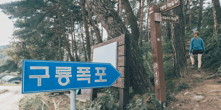 El nuevo centro de exposiciones de Vietnam: multifuncional, moderno y de clase mundial