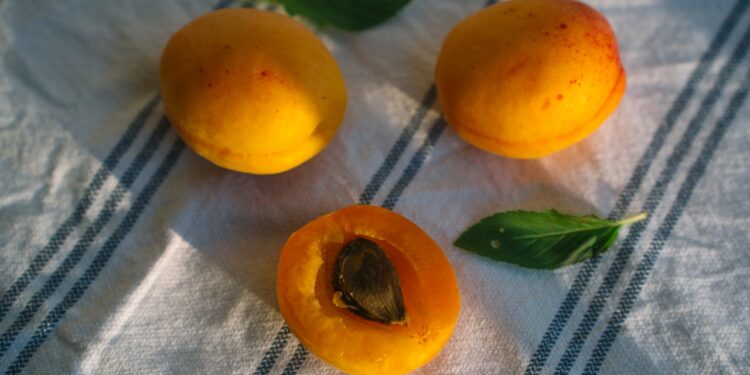 Apricots Are Surprisingly Good For the Gut, Skin, and Brain