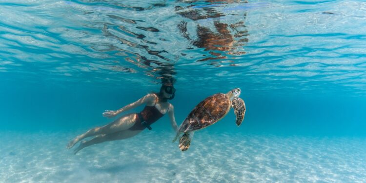 The Best Places to Snorkel Around the World