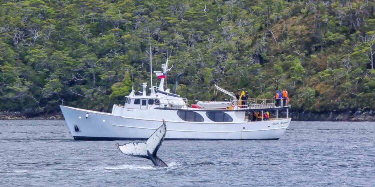 Más que viajes, experiencias y desarrollo – G5noticias