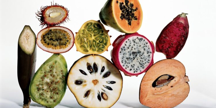 9 Fiber-Rich Foods to Improve Your Gut Health and Longevity