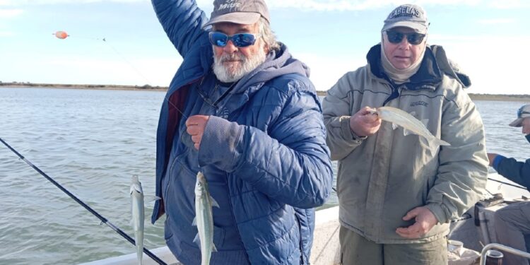 Pejerrey en Bahía San Blas: descubre los mejores lugares para pescar este fin de semana largo