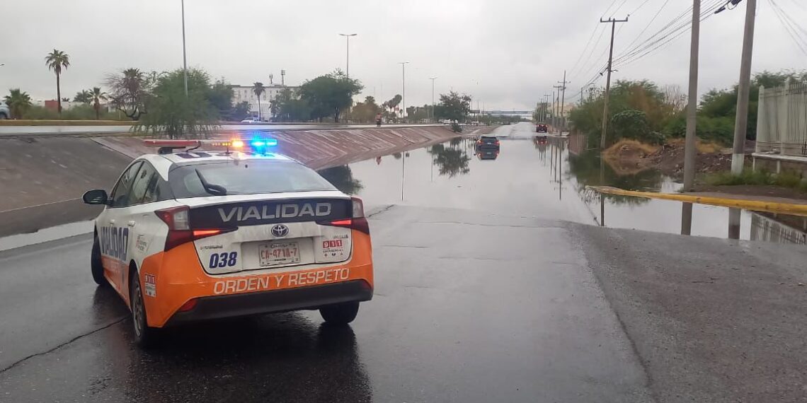 Lluvias en Torreón dejan encharcamientos en cruceros y algunos árboles caídos