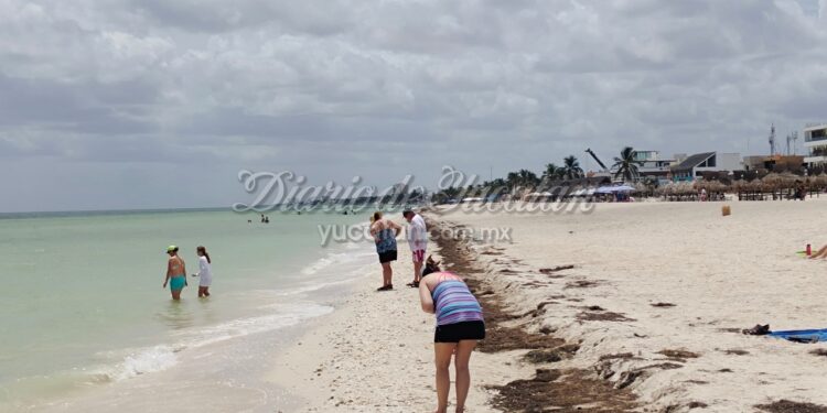 Progreso recibe gran afluencia turística por arribo de crucero