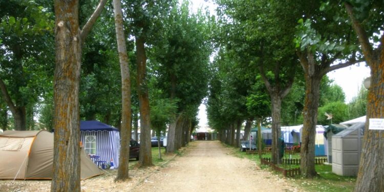 Así cambió la forma de viajar después de la pandemia: más naturaleza, viajes más cortos y carpe diem