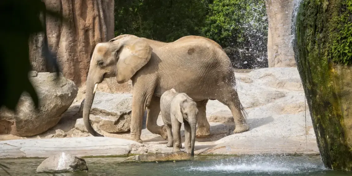Un viaje a la naturaleza más salvaje sin salir de España