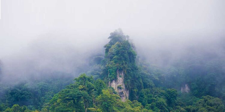 Blue Diamond Resorts