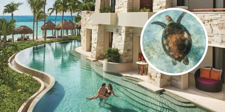 Este es el mejor hotel del mundo en 2025 según TripAdvisor ¡y es mexicano! | Guillermo Ortega