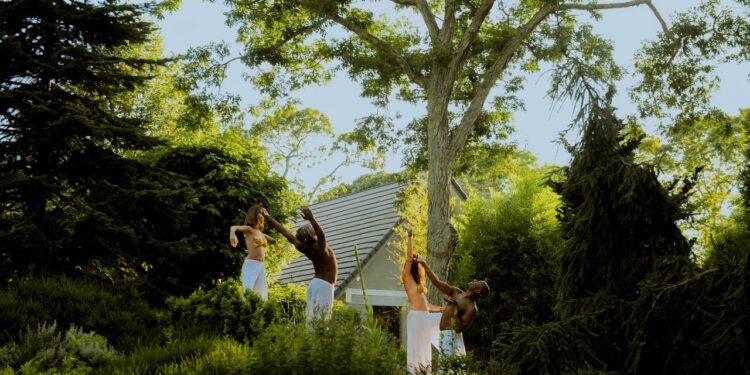 Visiting the Hamptons This Summer? Take a Moment for the Trees