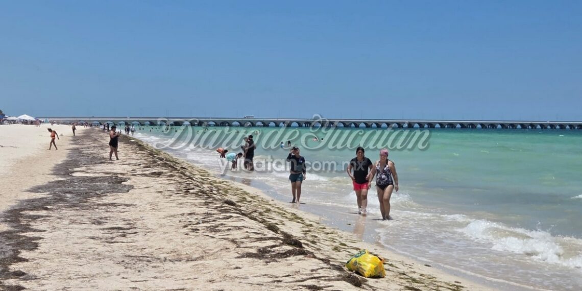 Pese a llegada de crucero, turismo local y nacional rescata jornada vacacional en Progreso