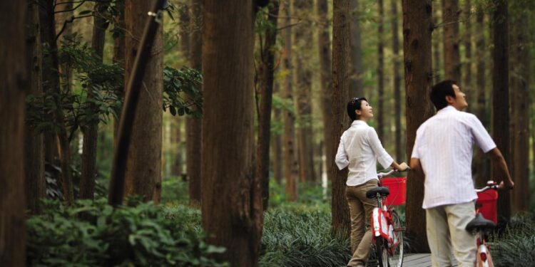 hoteles y rutas, la última tendencia del turismo de lujo