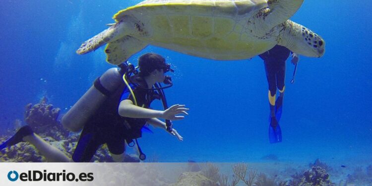 Estos son algunos de los mejores destinos para bucear este verano