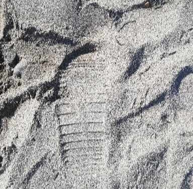 Consejos para tus viajes de verano