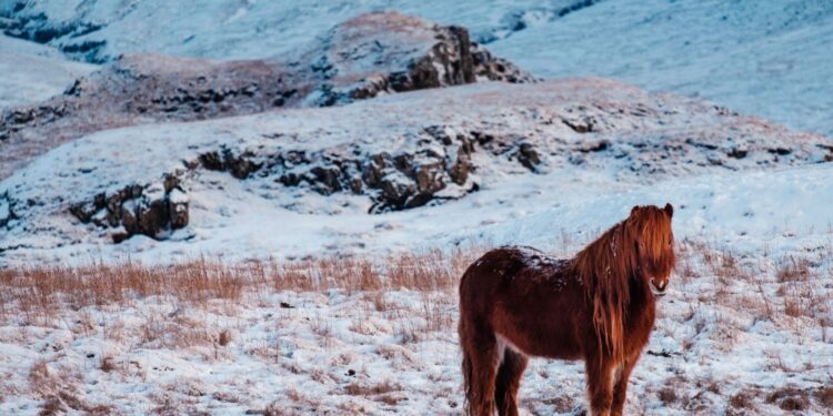 Estos son los mejores destinos de “coolcation” en Europa