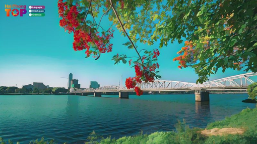 Destino de todas las búsquedas en la ciudad portuaria